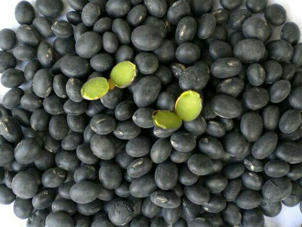 黑豆实物图