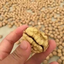 薄皮核桃去皮