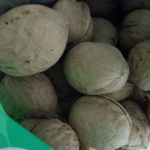 薄皮核桃去皮干