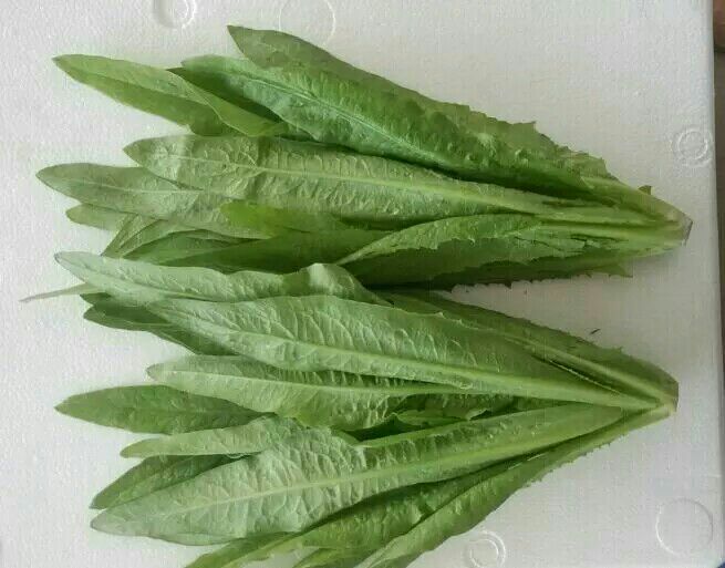 展示新鲜菠菜与油菜并排摆放的图片,背景为绿色厨房环境,突出自然与健康主题 菠菜和油菜对比图