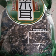 野生木耳特级