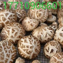 干香菇