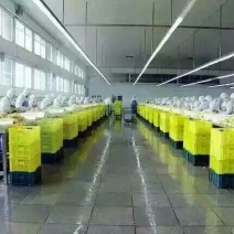 黄桃罐头