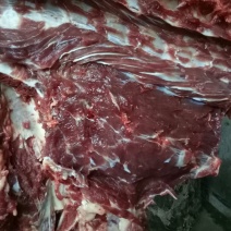 驴肉鲜货