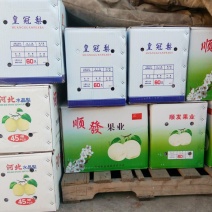 皇冠梨