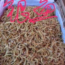 银鱼干