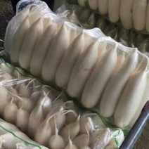白萝卜2~2.5斤起