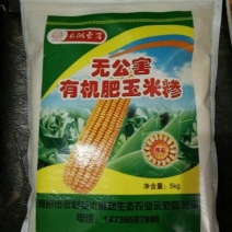 玉米面