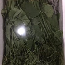 金瓜