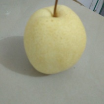 酥梨光果