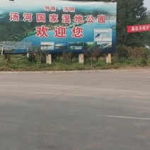 晚秋黄梨350~400g纸箱