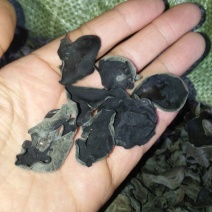 干木耳特级