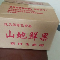 礼泉酥梨200~250g纸袋