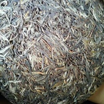 百年大树茶特级