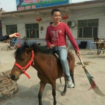 肉马