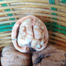 薄皮核桃30mm以上去皮