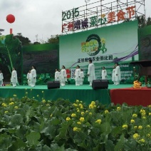 菜苔