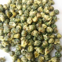 菊花茶