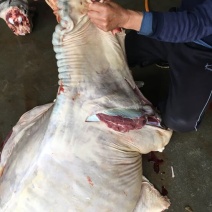 驴肉