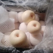 皇冠梨350~400g纸袋