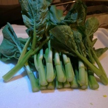 菜苔