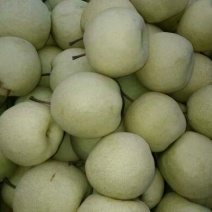 砀山梨200~250g纸袋
