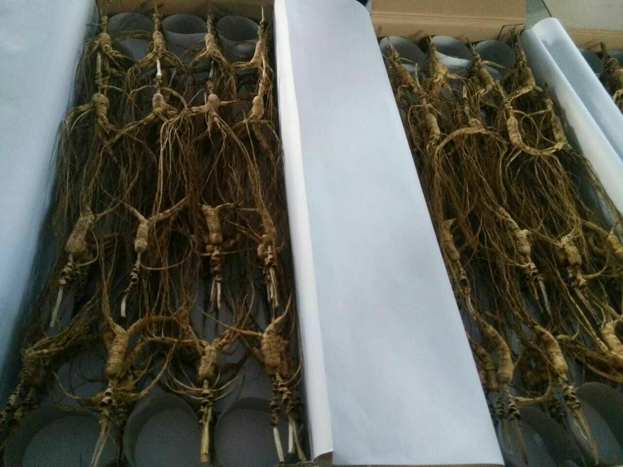 山参冷藏包装示意图