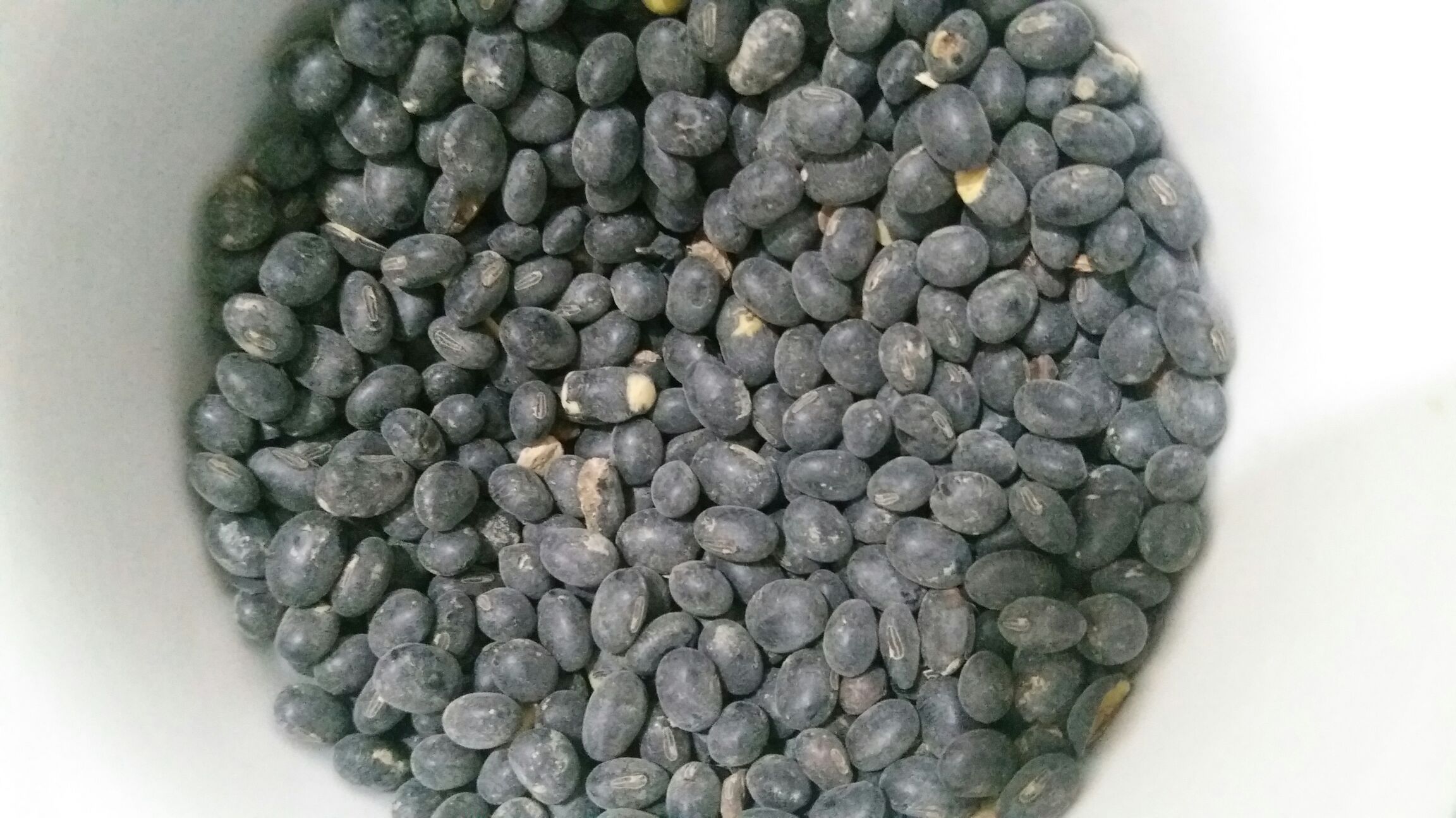 展示一碗炒熟的黑豆特写图片 炒熟的黑豆实物图