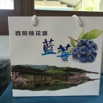 蓝莓4~6mm以上