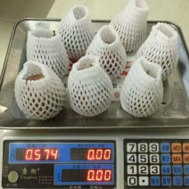 百香果紫果50~60g