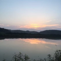 土鸡蛋