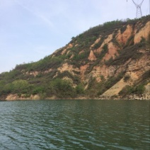 鲤鱼