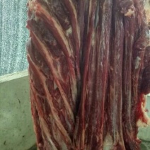 驴肉鲜货