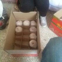 贡梨200~250g纸箱