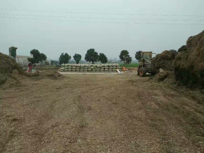 TMR搅拌车混合饲料场景