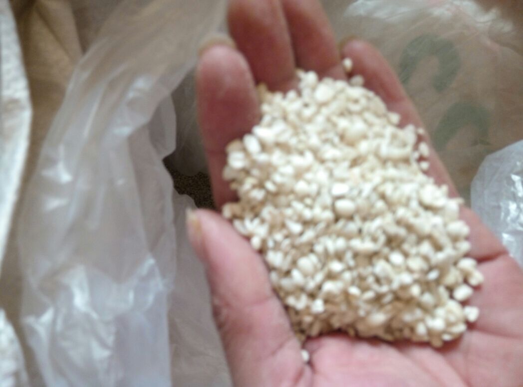 信息图表:中心为1颗完整核桃图标,左侧连接‘6g’标签与计量勺实物图;右侧延伸出两条分支,上支为炒薏苡仁颗粒特写(金黄色、微鼓起、无焦黑点),标注‘30g’;下支为茯苓粉白色粉末倾倒动态图,标注‘10g’;底部标注‘温开水200ml,餐后30分钟服用’,整体采用蓝绿色健康色调 核桃与祛湿食材科学配伍示意图