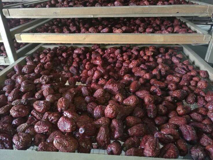 新疆和田农户晾晒大枣传统场景：戈壁滩边缘的木质晾房内，层层竹竿挂满深褐色干枣，阳光斜射形成光斑，地面散落少量枣叶与沙粒，远处可见昆仑山雪峰