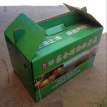 丰水梨