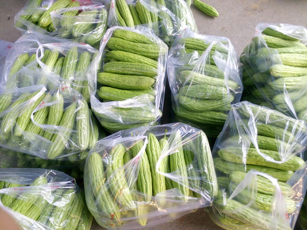 苦瓜与生姜搭配烹饪