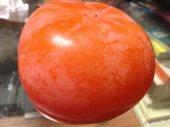 磨盘柿果实特写,橙红色果皮,底部有明显环状凹陷,呈现出典型的磨盘特征 磨盘柿果实特写