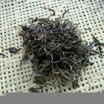 普洱茶散茶