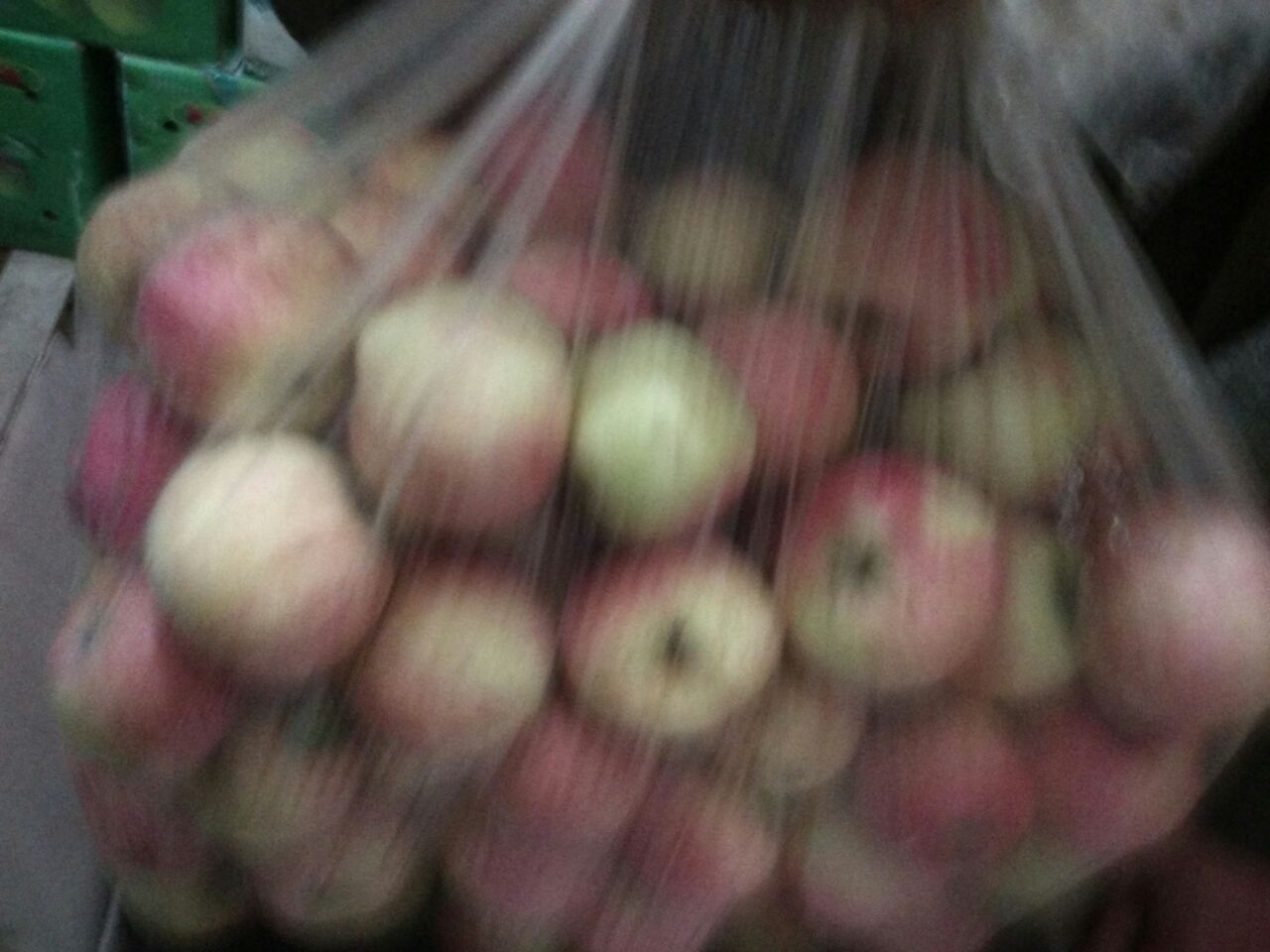 国光苹果特写对比图