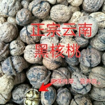 山核桃30mm以上去皮干