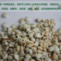 薏米
