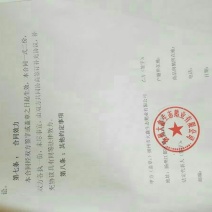 皖西白鹅苗250g以上
