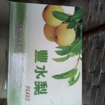 丰水梨400~450g纸加膜