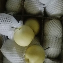 皇冠梨