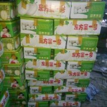 东方密1号哈密瓜1斤以上长圆形