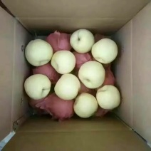 礼泉酥梨200~250g纸袋
