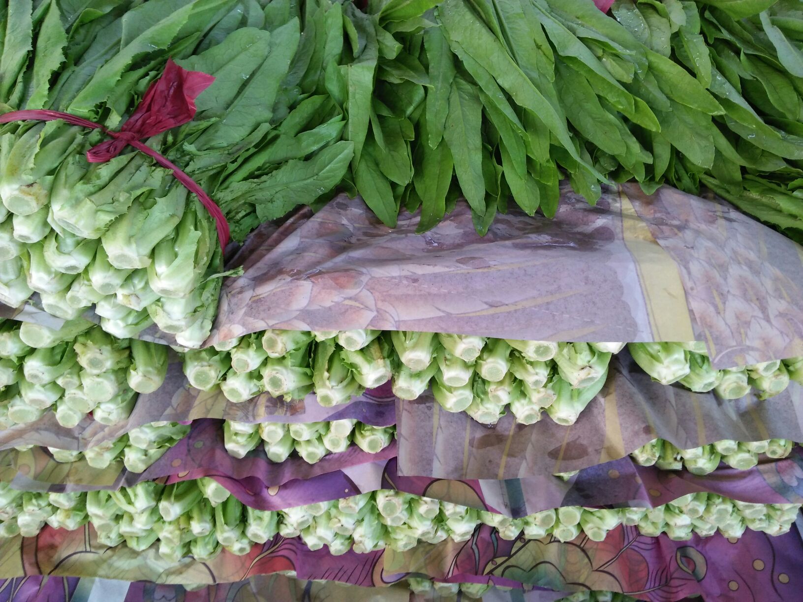 超市货架上的新鲜油麦菜